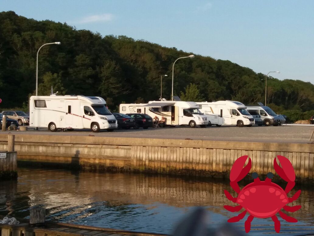 Niederlande — Tulpenfelder